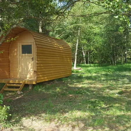Glamping Pod Im Wald Mit Hund Campsite