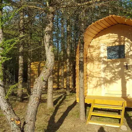 Glamping Pod Im Wald Mit Hund Nordholz