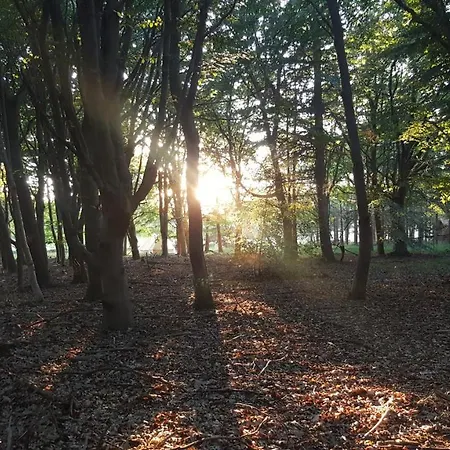 Parque de Campismo Glamping Pod Im Wald Mit Hund Nordholz
