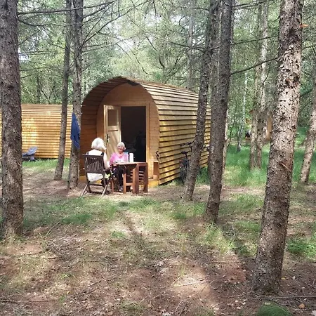 Glamping Pod Im Wald Mit Hund * Nordholz